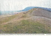 Kahlköpfchen0001.webp