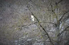 DSCF0214 (2).webp