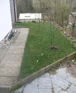 k-Wiese nach Winter.webp
