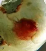 DSCN1911.webp