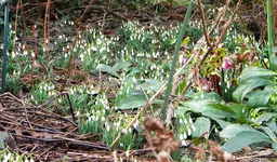 DSCN7176.webp
