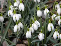 DSCN7180.webp