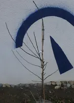 Apfelbaum RedLove 1.webp