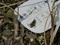 P1280517.webp
