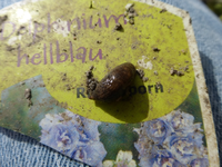P1280520.webp