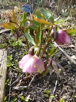 P1280490.webp
