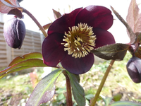 P1280492.webp