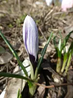 P1280518.webp
