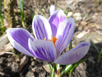 P1280534.webp