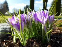 Bild 3.webp