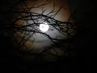 Vollmond_0001.webp