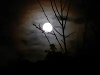 Vollmond_0003.webp