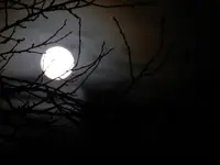 Vollmond_0004.webp