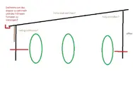 Tomaten 2.webp