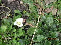 IMG_4157.webp