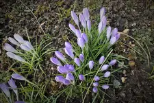 DSCF0218 (2).webp