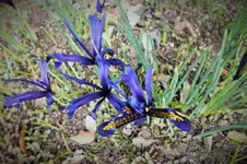 DSCF0222 (2).webp
