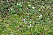 DSCF0223 (2).webp