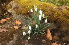 DSCF0238.webp