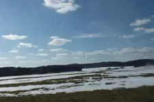 DSCF0260.webp