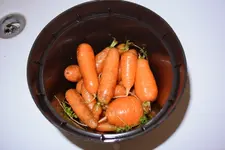 DSC_0239.2.webp