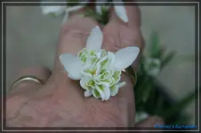 comp_DSC02783.webp