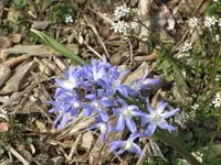 033.webp