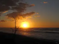sea (2)v.webp