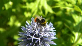 DSCN5194.webp