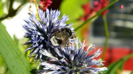 DSCN5199.webp