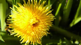 DSCN2299.webp
