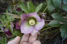 _DSC7762.webp