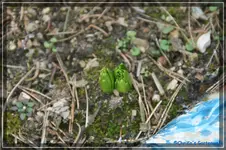 comp_DSC02787.webp