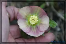 comp_DSC02788.webp