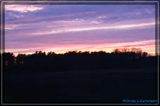 comp_DSC02790.webp