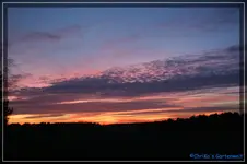 comp_DSC02793.webp