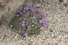 DSCF0235.webp