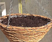 Gemüse2_600.webp