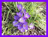 006.webp