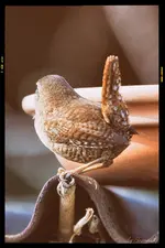 blog_SAM_8022.webp