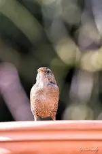 blog_SAM_8025.webp