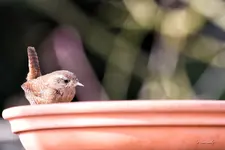 blog_SAM_8048.webp