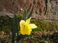005.webp