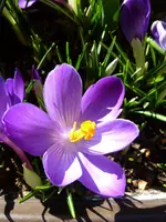 P1050448.webp