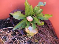 006_1024x768.webp