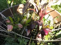 013_1024x768.webp
