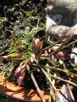 014_576x768.webp