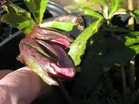 018_1024x768.webp