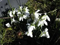 009_1024x768.webp