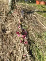 003_576x768.webp